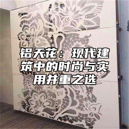 铝天花：现代建筑中的时尚与实用并重之选